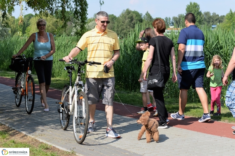 Végre itt a nyár a Sóstón is!