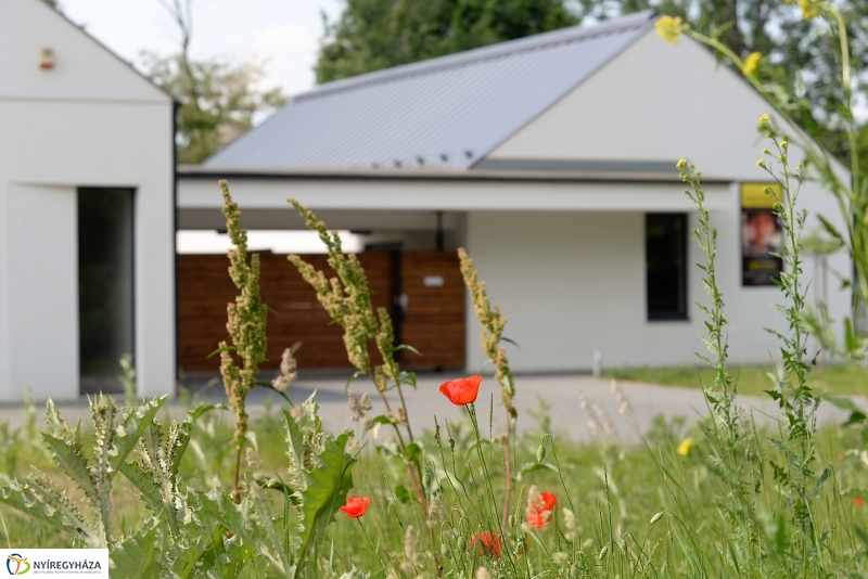 Végre itt a nyár a Sóstón is!