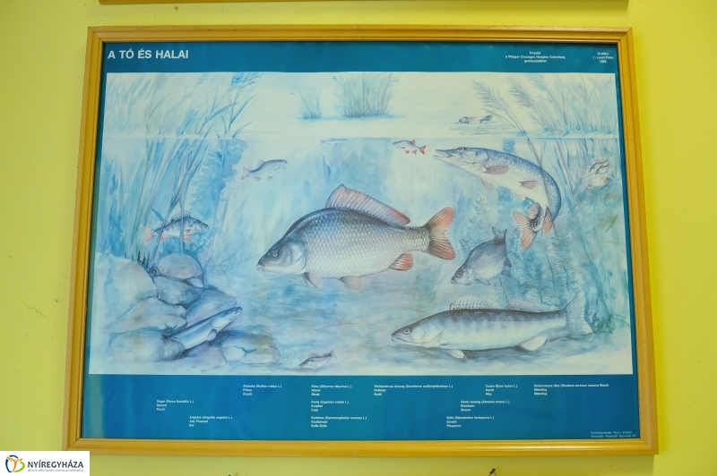 Sporthorgász Egyesületek sajtótájékoztatója