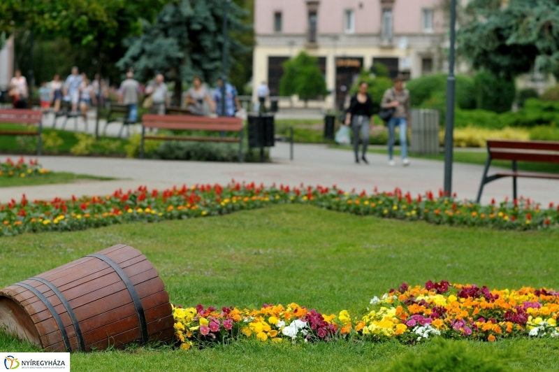 Virágosítás Nyíregyházán