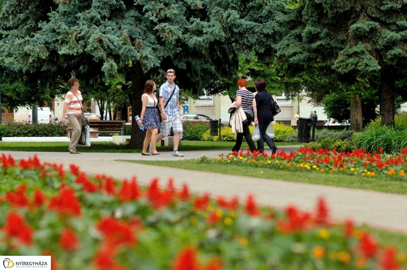 Virágosítás Nyíregyházán