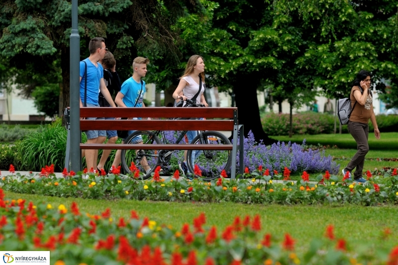 Virágosítás Nyíregyházán