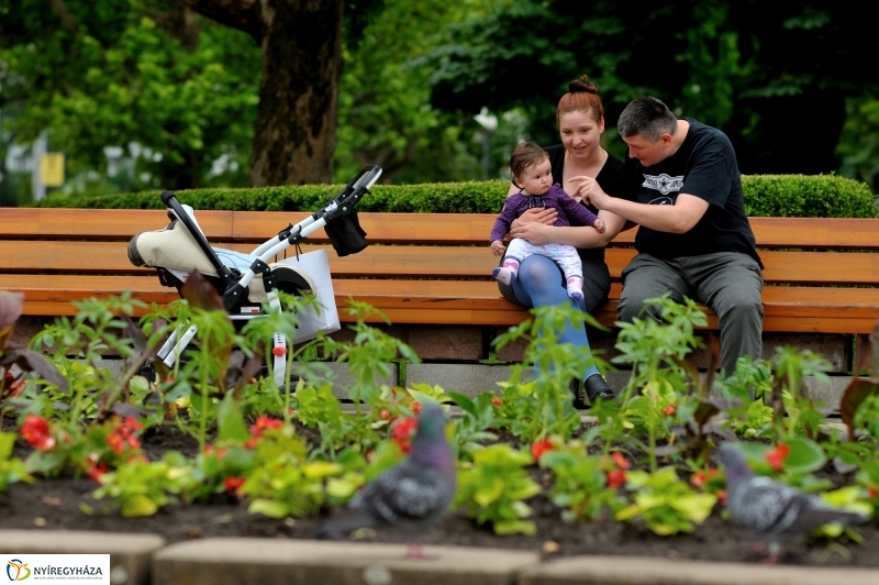 Virágosítás Nyíregyházán