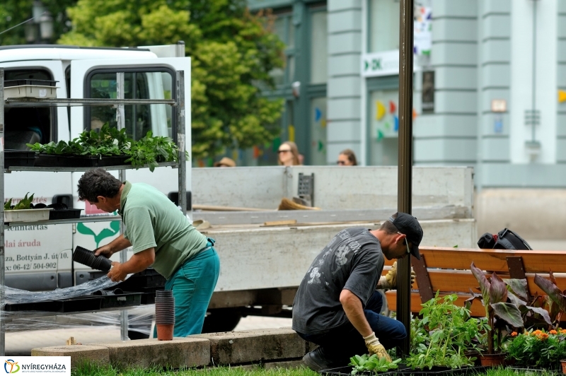 Virágosítás Nyíregyházán