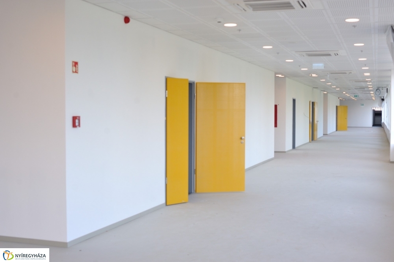 Startra kész az Aréna