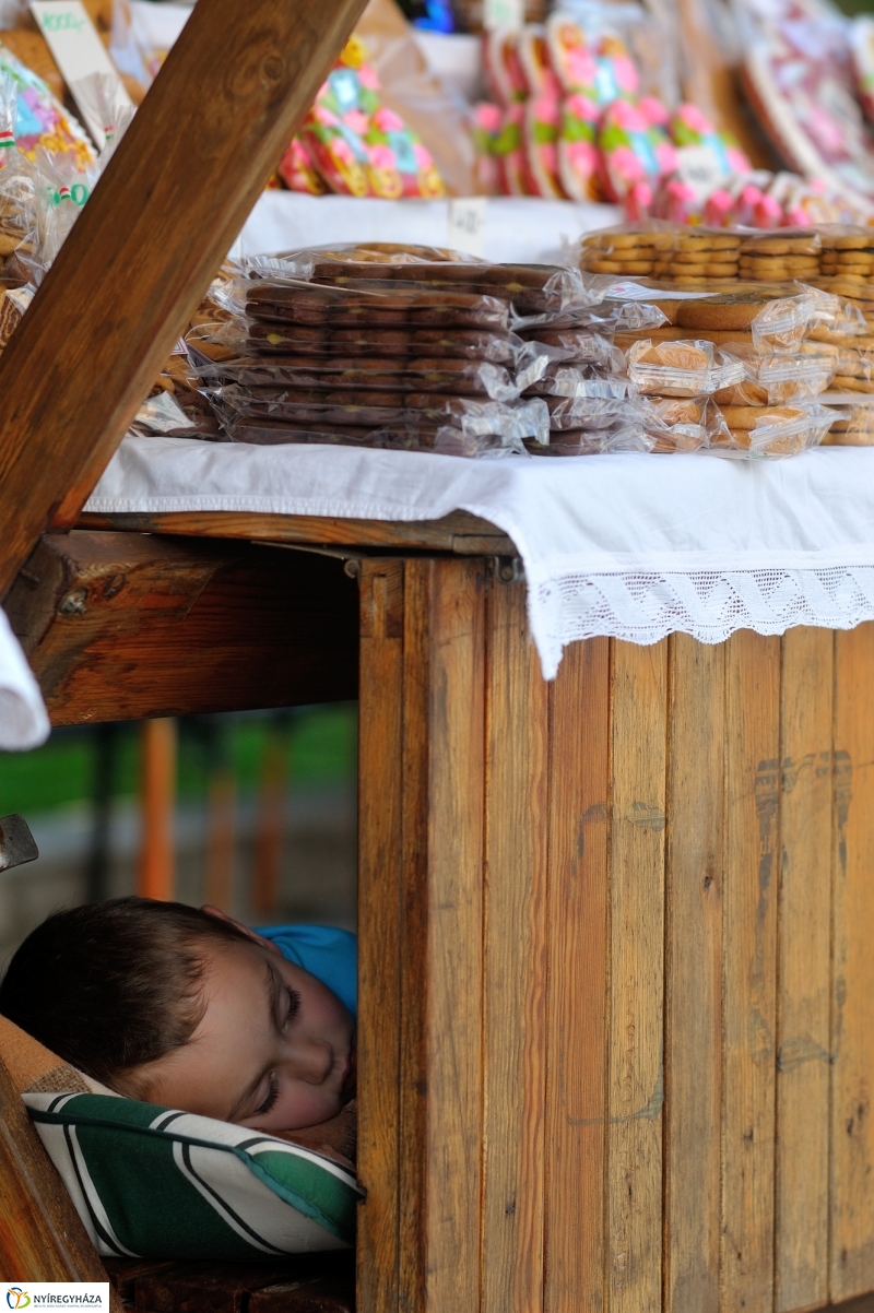 Táncfesztivál 2016