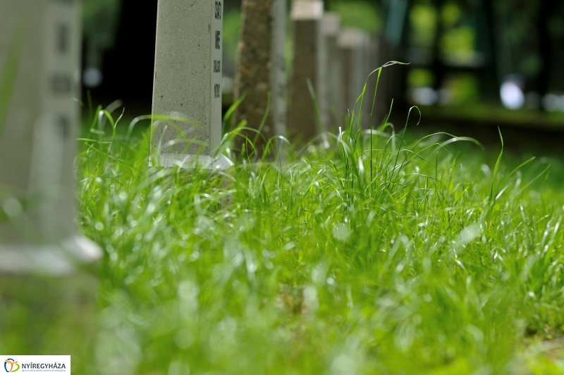 Hősök Napja megemlékezés