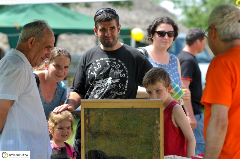 Gyereknap a Múzeumfaluban