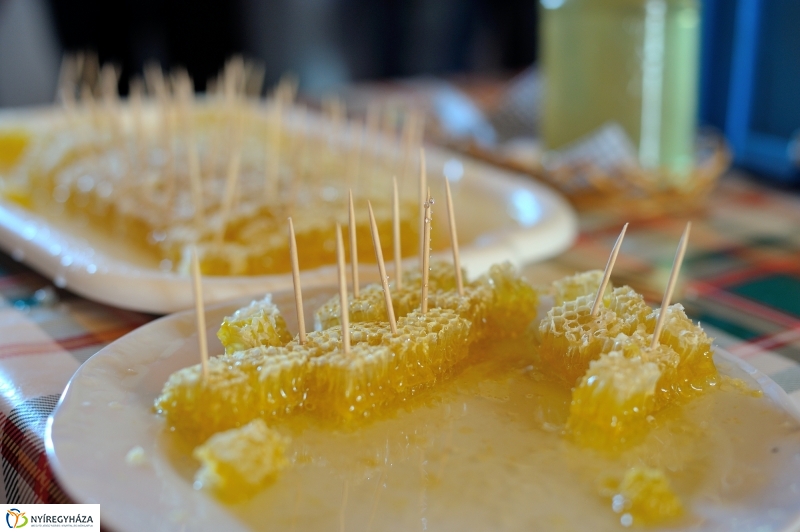 Gyereknap a Múzeumfaluban