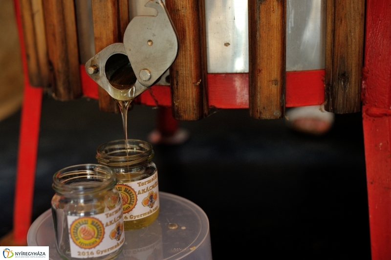 Gyereknap a Múzeumfaluban