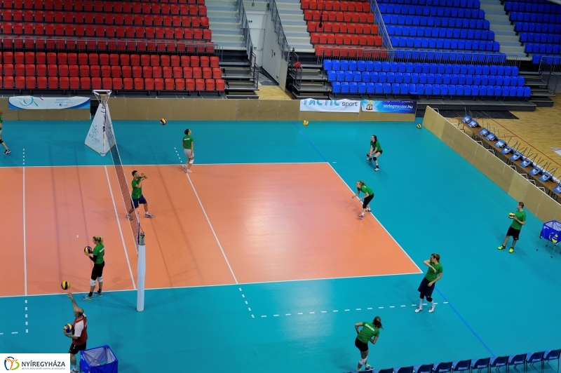 Edzenek a röpisek II.