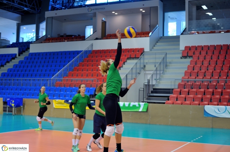 Edzenek a röpisek II.