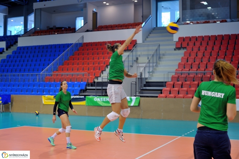 Edzenek a röpisek II.