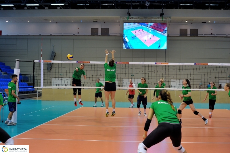 Edzenek a röpisek II.