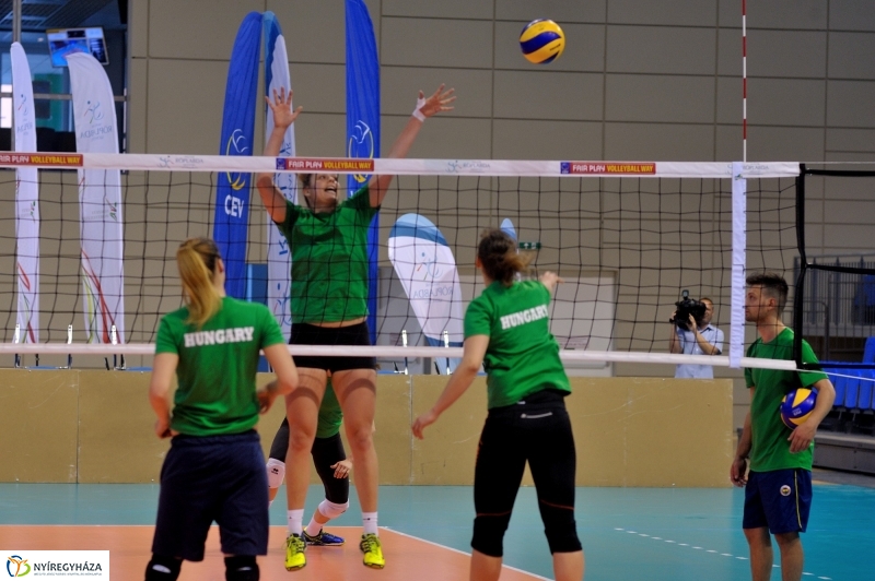 Edzenek a röpisek II.