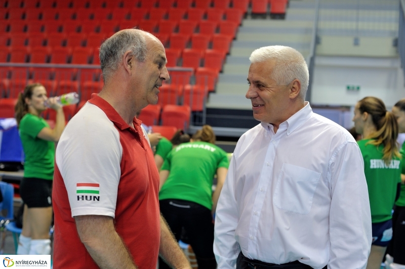 Edzenek a röpisek II.