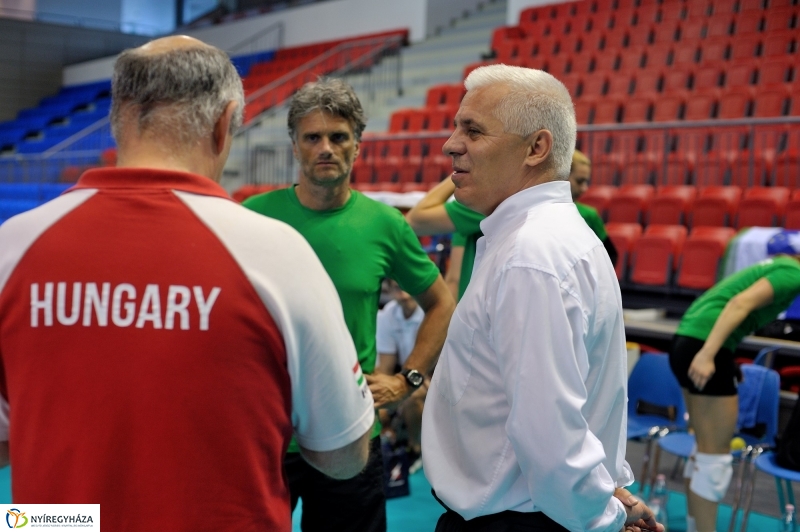 Edzenek a röpisek II.