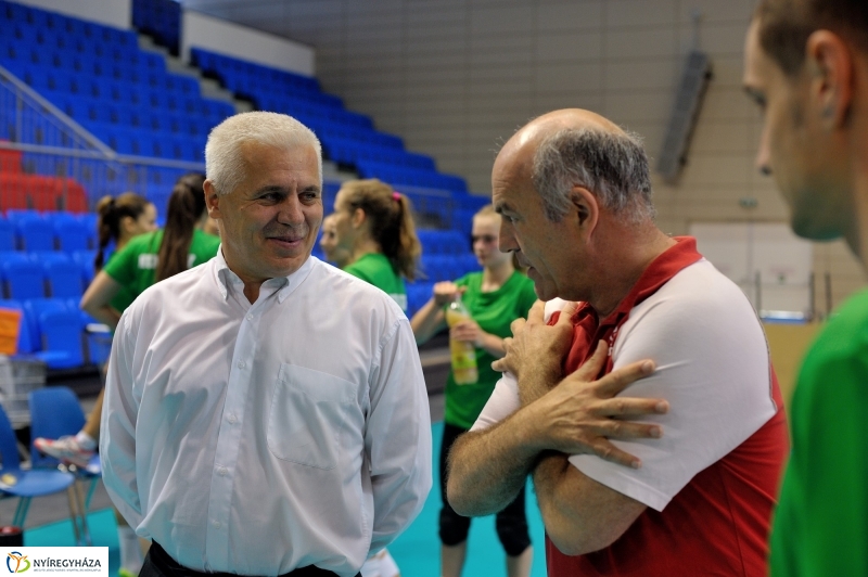 Edzenek a röpisek II.