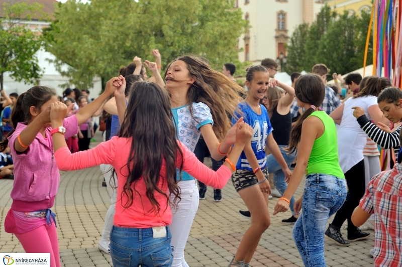 Gyere közelebb - roma integrációs nap