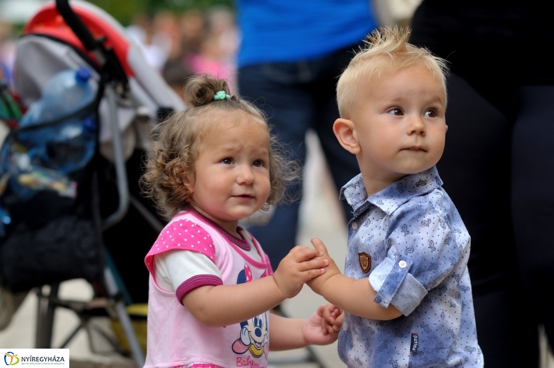 Gyere közelebb - roma integrációs nap