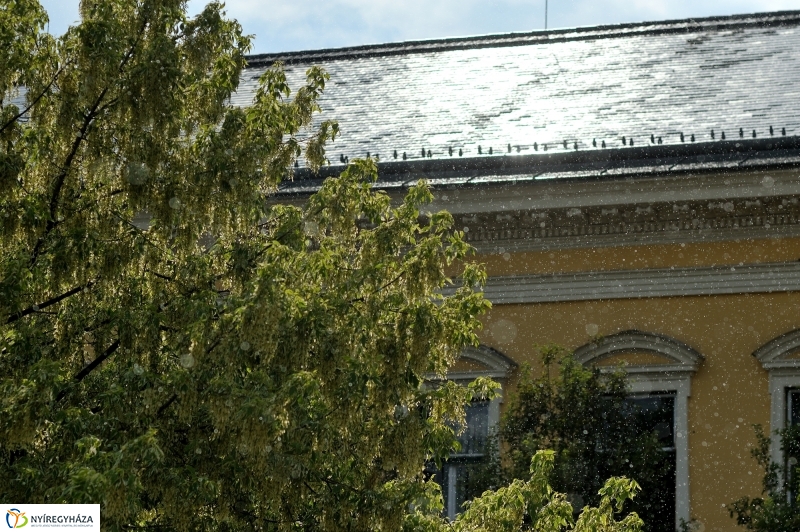 Ünnepi Könyvhét a belvárosban