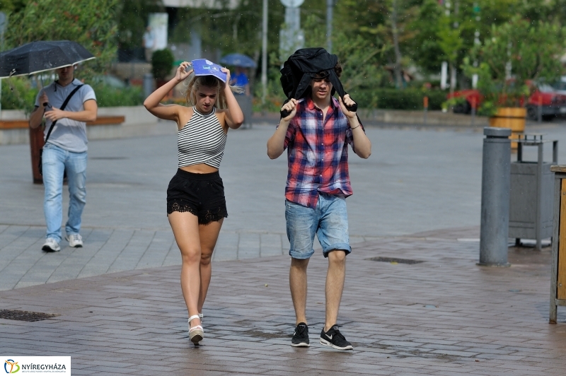 Ünnepi Könyvhét a belvárosban