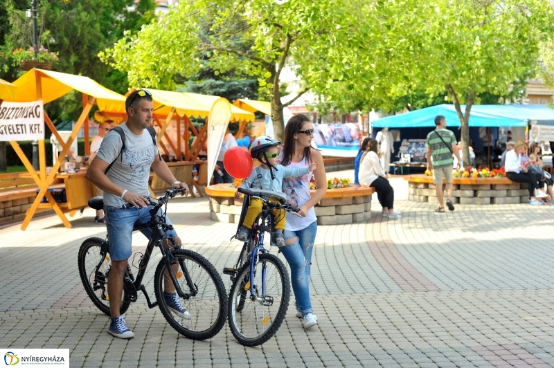 Vagyonvédelmi Nap a belvárosban