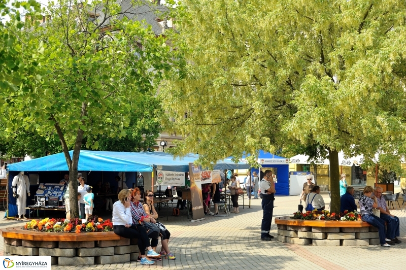 Vagyonvédelmi Nap a belvárosban