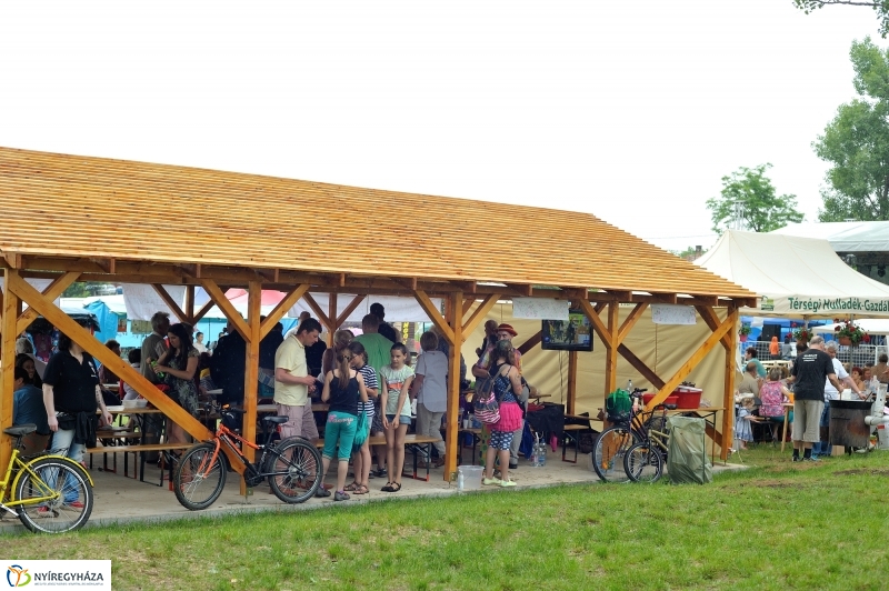 Nyírszőlősi juniális 2016