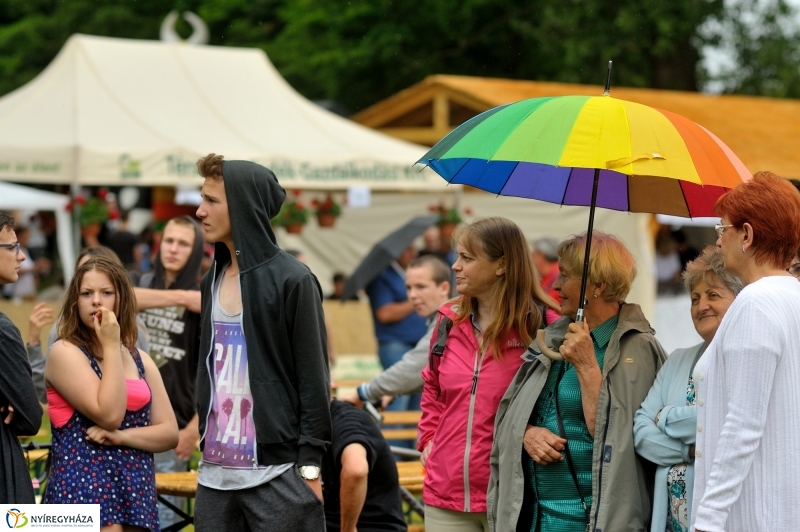 Nyírszőlősi juniális 2016