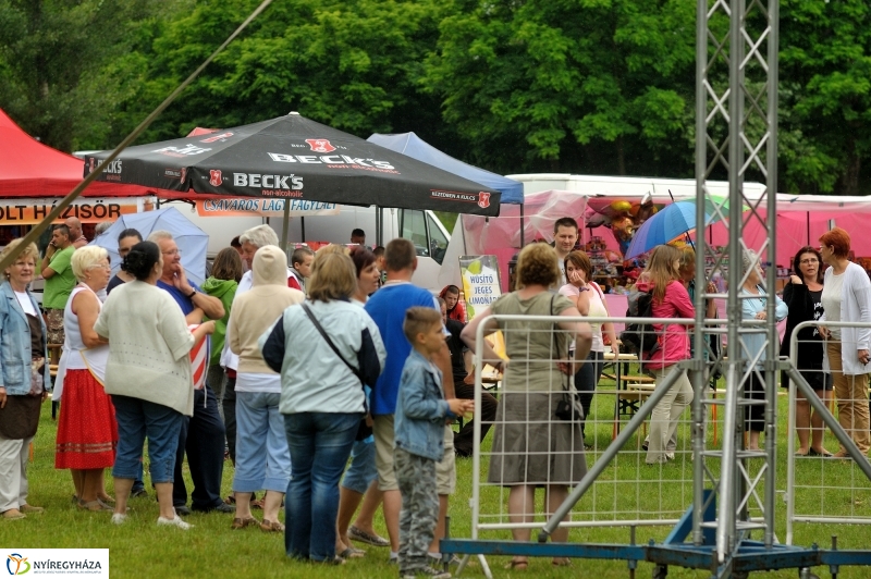 Nyírszőlősi juniális 2016