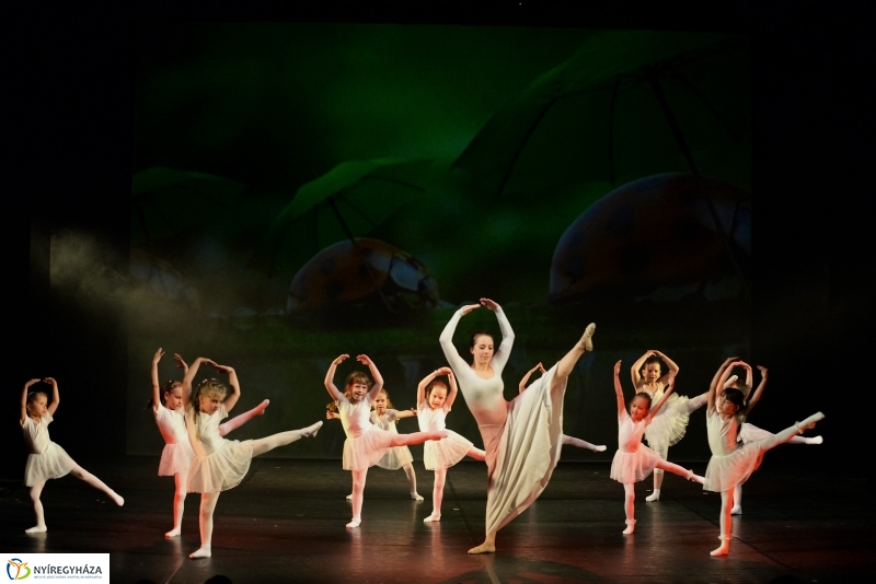 RE-flex táncgála 1