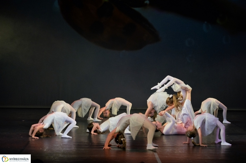 RE-flex táncgála 1