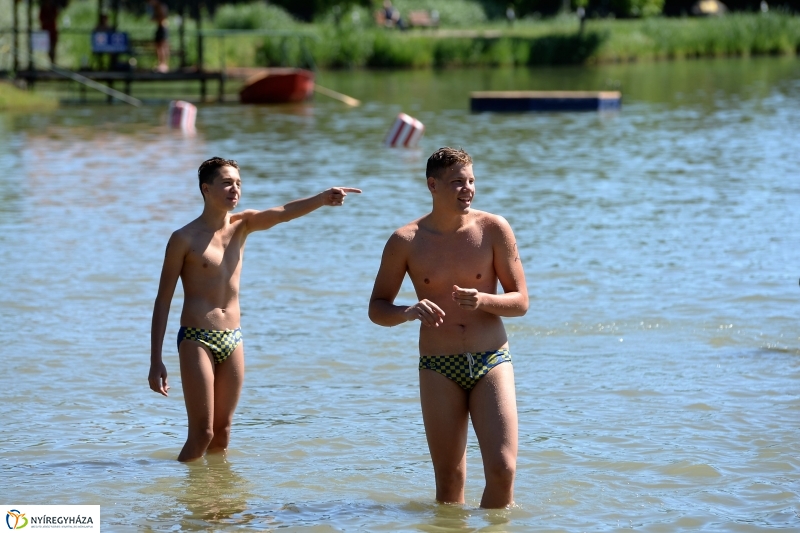 A Magyar Úszás Napja