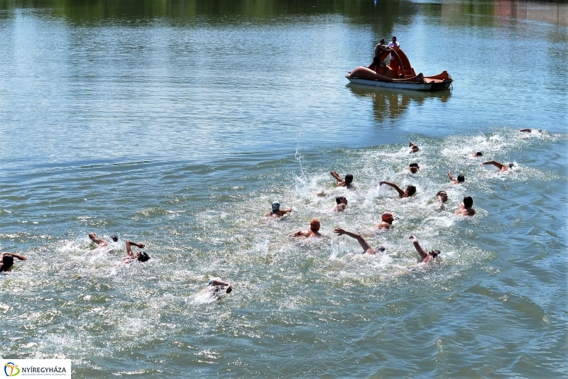 A Magyar Úszás Napja
