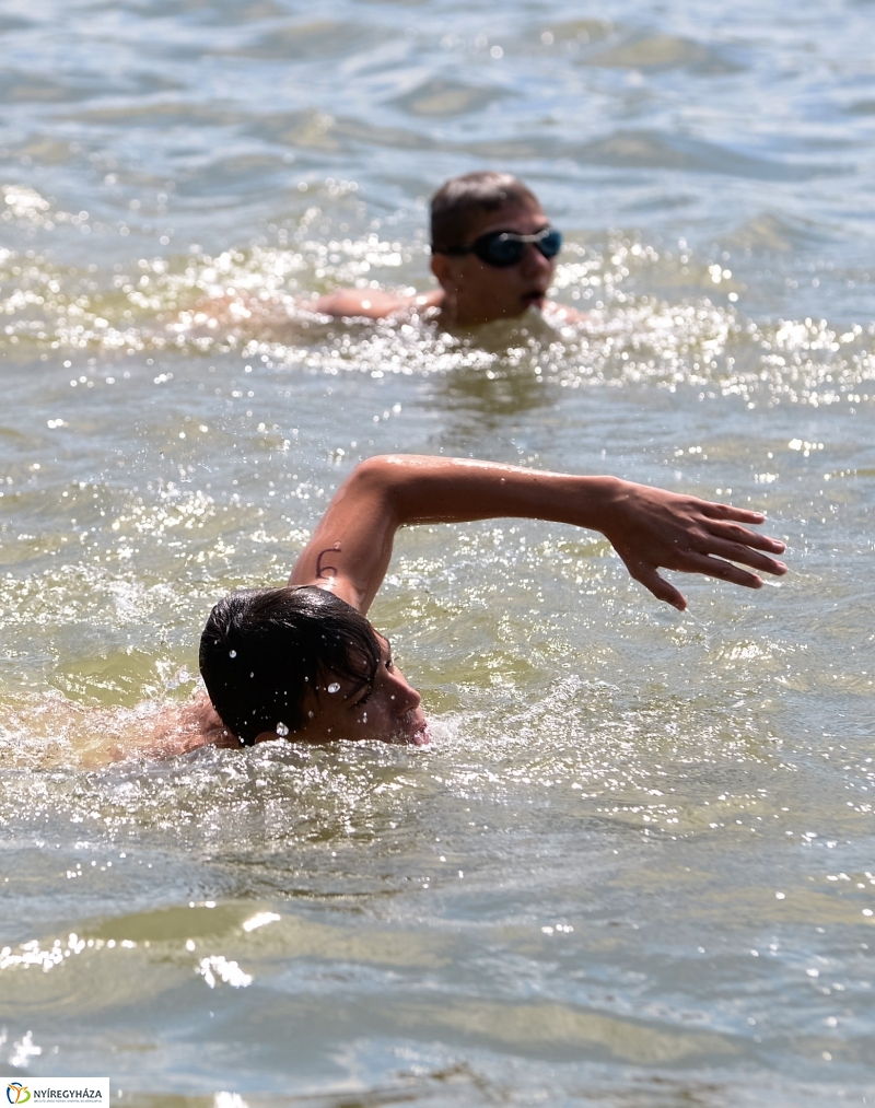 A Magyar Úszás Napja