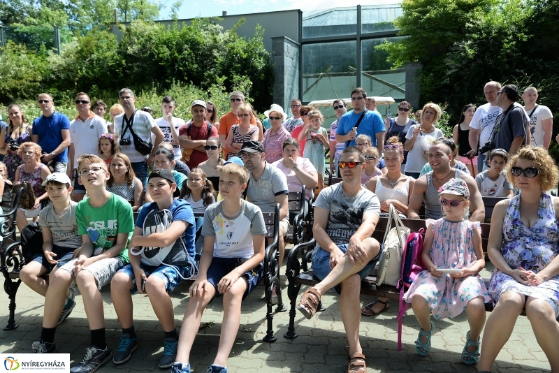 A papagáj magyar győzelemet jósolt!