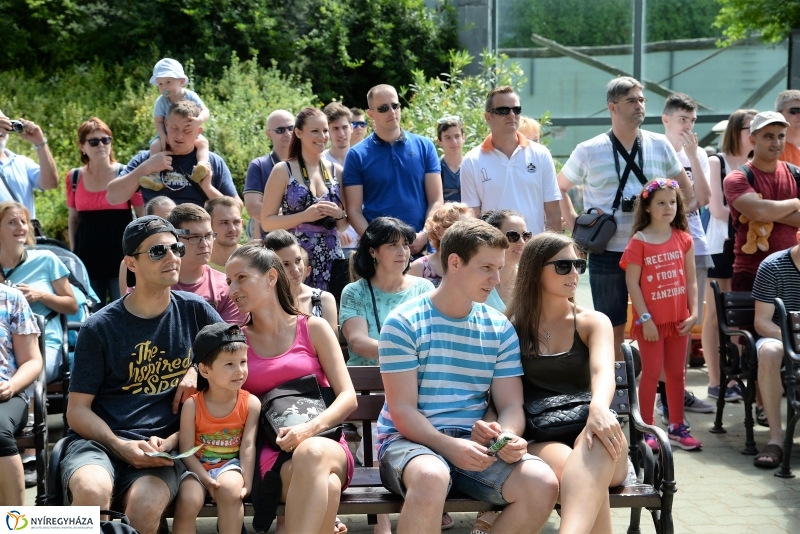 A papagáj magyar győzelemet jósolt!