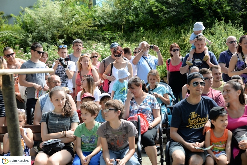 A papagáj magyar győzelemet jósolt!