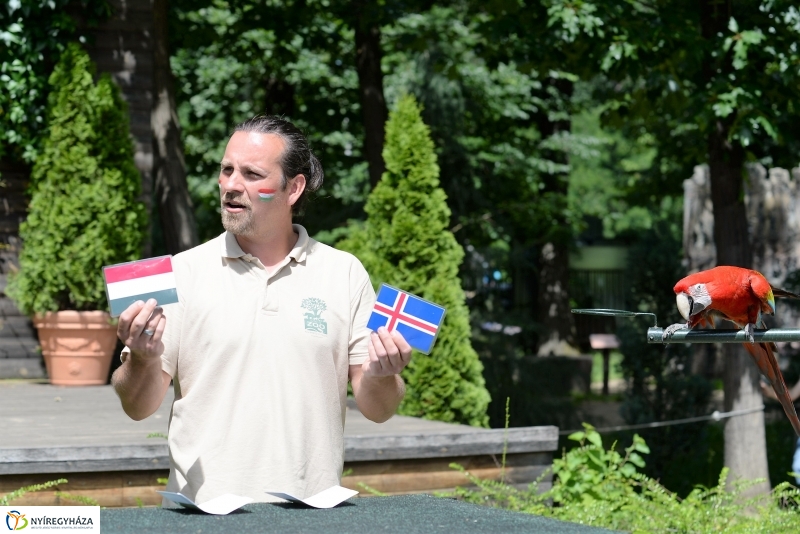 A papagáj magyar győzelemet jósolt!