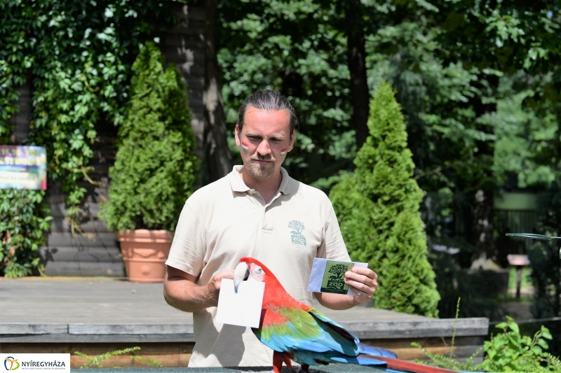 A papagáj magyar győzelemet jósolt!