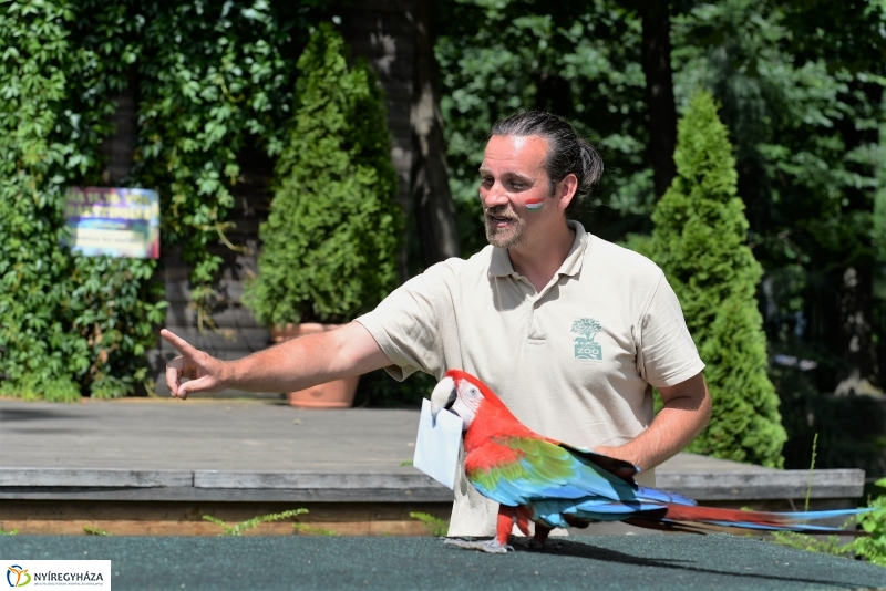 A papagáj magyar győzelemet jósolt!