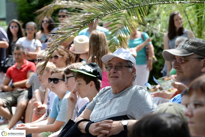 A papagáj magyar győzelemet jósolt!
