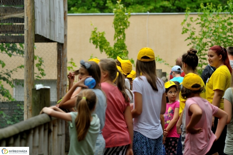 Zoosuli az Állatparkban