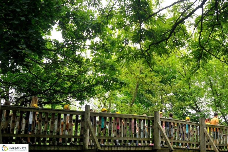 Zoosuli az Állatparkban