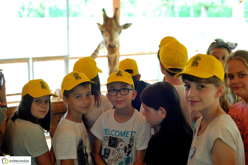 Zoosuli az Állatparkban