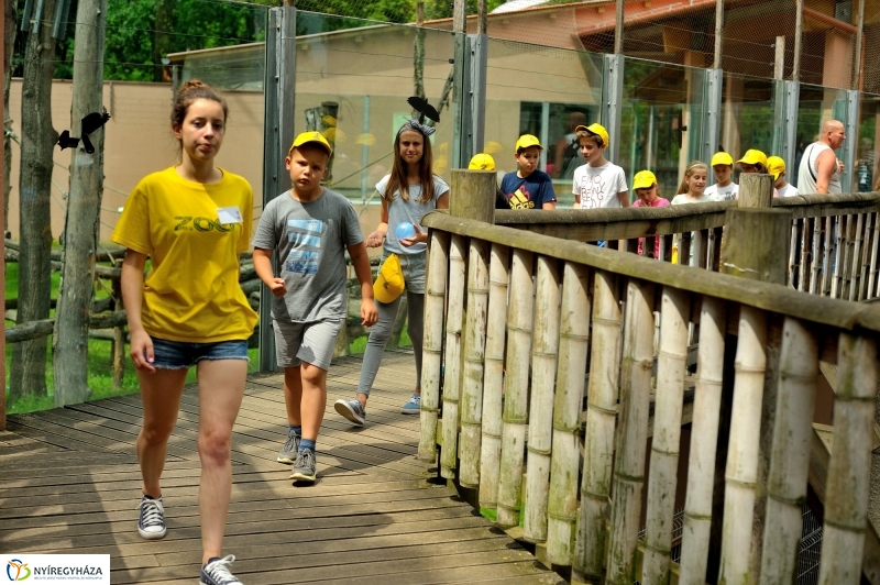 Zoosuli az Állatparkban