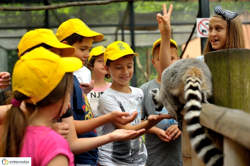 Zoosuli az Állatparkban