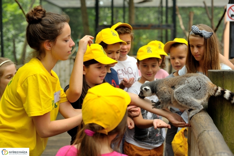 Zoosuli az Állatparkban