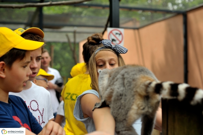 Zoosuli az Állatparkban